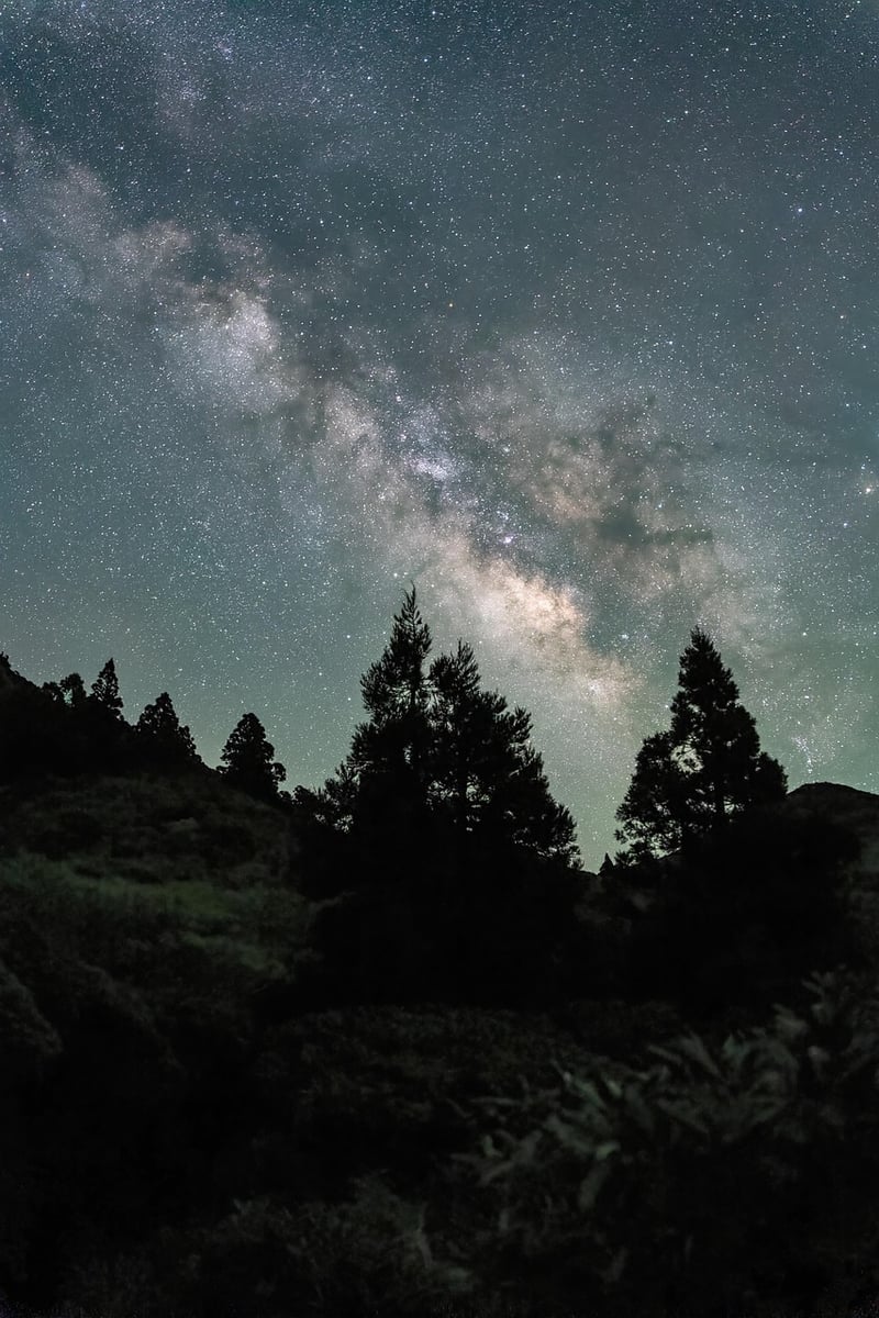 Starlit Phone Grip